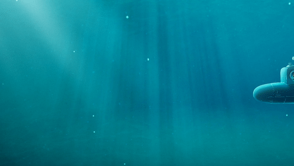 SeSocio – Wrong Discounts